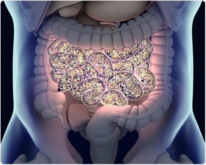 Gut related disorders